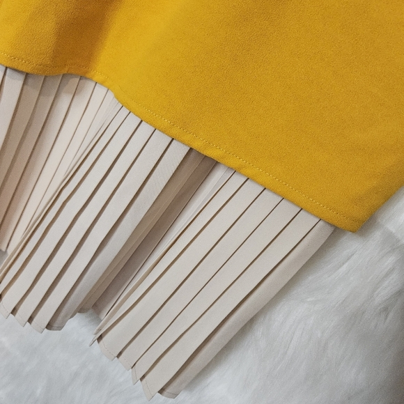 D. D Collective Asymmetrical Pleated Skirt - Picture 3 of 5